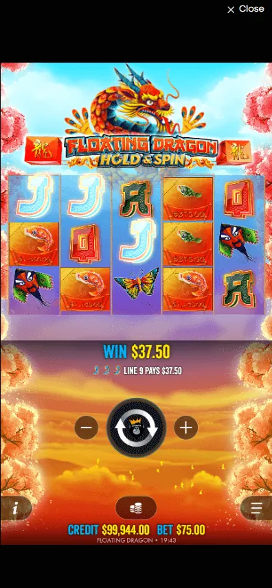 Floating Dragon tips image